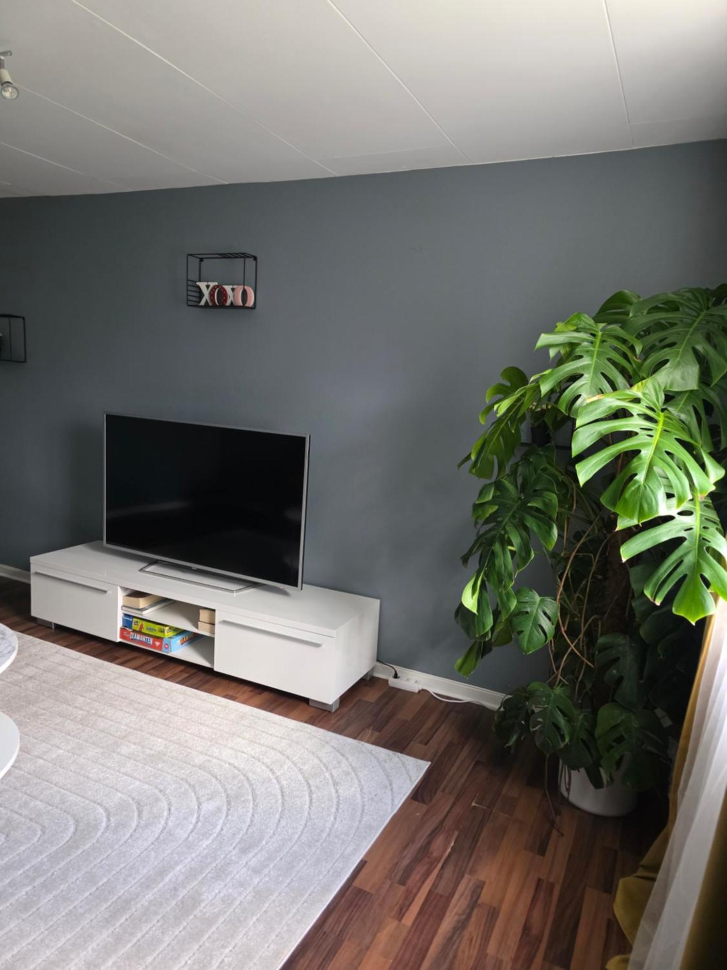 Hyllstofta Laegenhet Apartment Klippan Ngoại thất bức ảnh